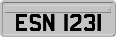ESN1231