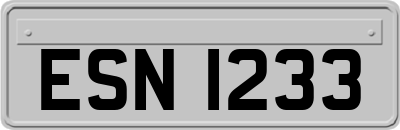 ESN1233