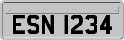 ESN1234