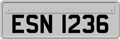ESN1236