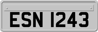 ESN1243