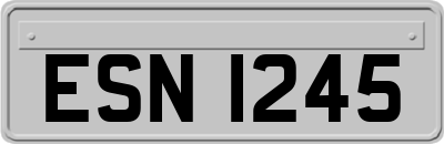 ESN1245