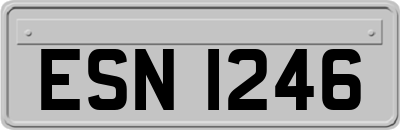 ESN1246