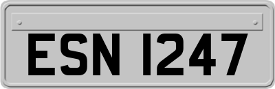 ESN1247