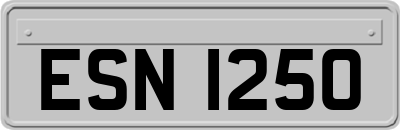 ESN1250