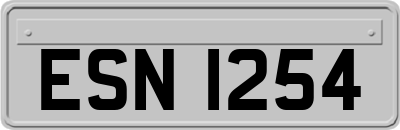ESN1254