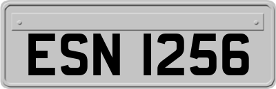 ESN1256