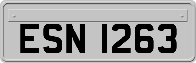ESN1263