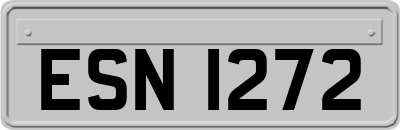 ESN1272