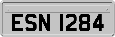 ESN1284