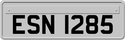 ESN1285