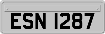 ESN1287