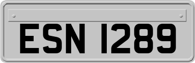 ESN1289