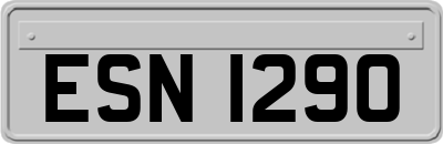 ESN1290