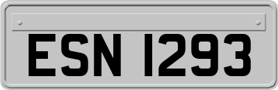 ESN1293