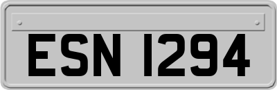 ESN1294