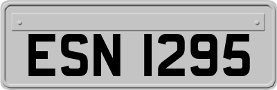 ESN1295