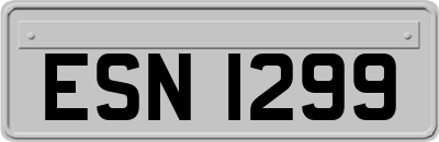 ESN1299