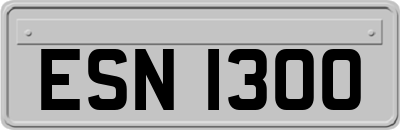 ESN1300