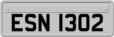 ESN1302