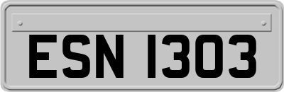 ESN1303