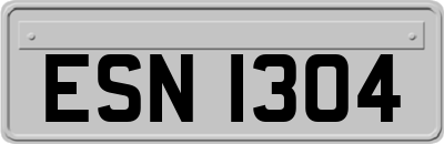 ESN1304
