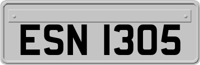 ESN1305