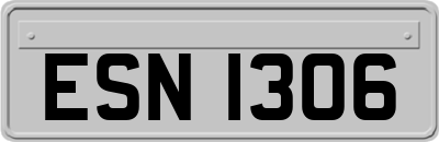 ESN1306
