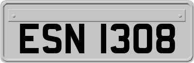 ESN1308
