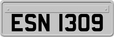 ESN1309
