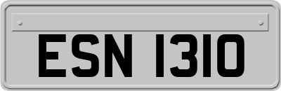 ESN1310