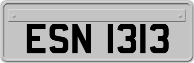 ESN1313