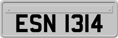ESN1314