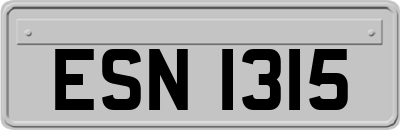 ESN1315