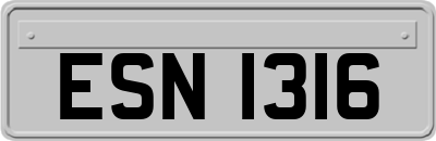 ESN1316