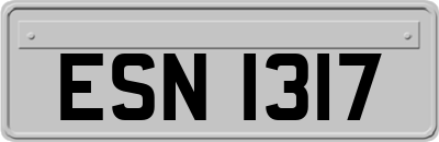 ESN1317