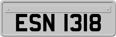 ESN1318
