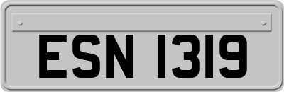 ESN1319
