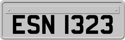 ESN1323