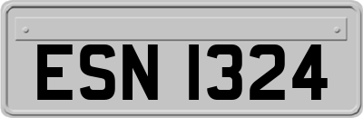 ESN1324