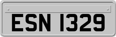 ESN1329