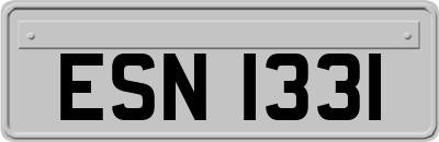 ESN1331