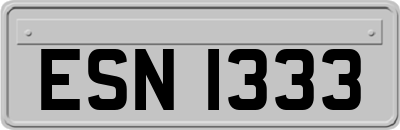 ESN1333