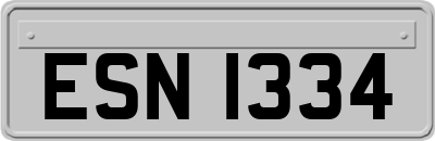ESN1334