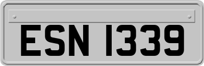 ESN1339