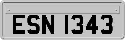ESN1343