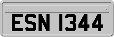 ESN1344