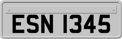 ESN1345