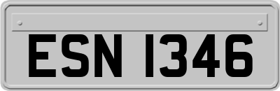 ESN1346