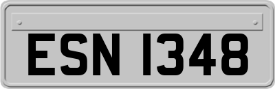 ESN1348